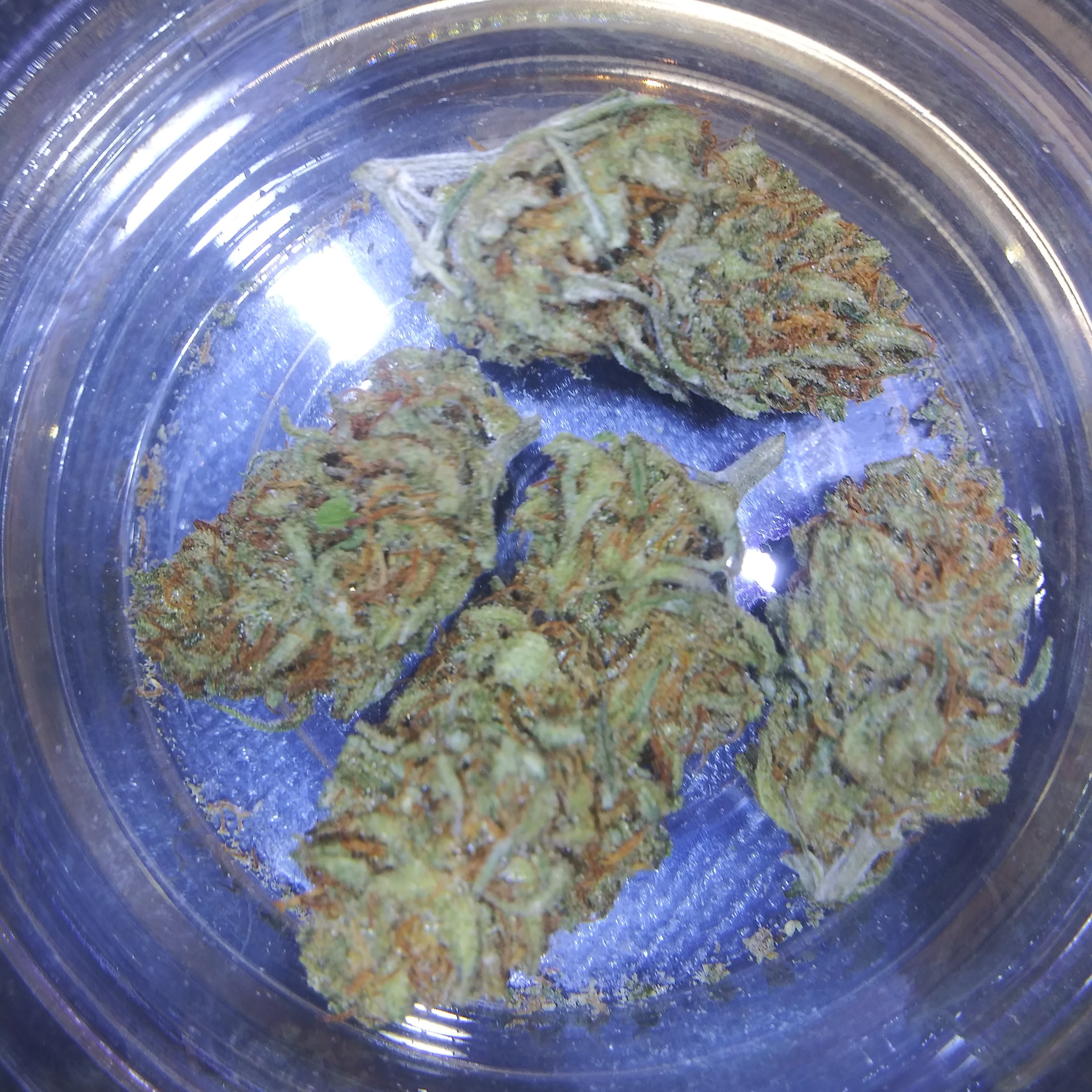 Cream Cheese